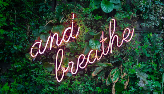 Breathe In, Stress Out: Simple Things To Calm A Stressed Mind